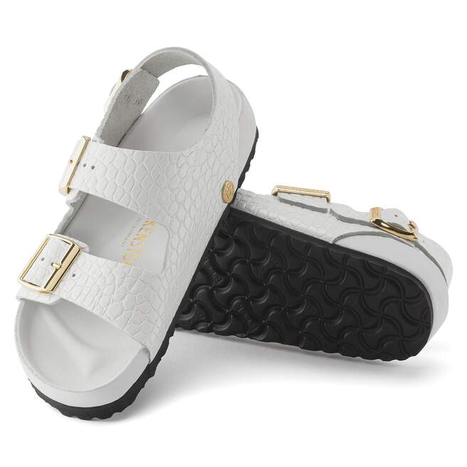 1024160_sole.jpg