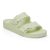 Faded Lime
