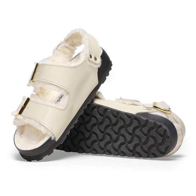 1025420_sole.jpg