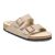 Desert Dust Gray Taupe