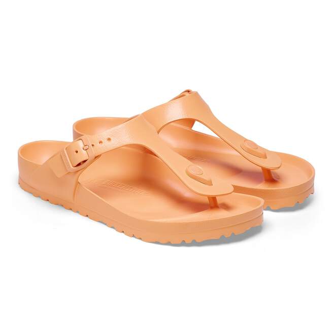 1025599_pair.jpg