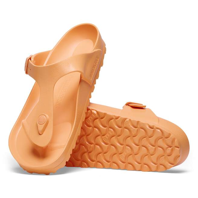 1025599_sole.jpg