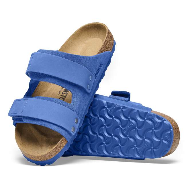 1025649_sole.jpg