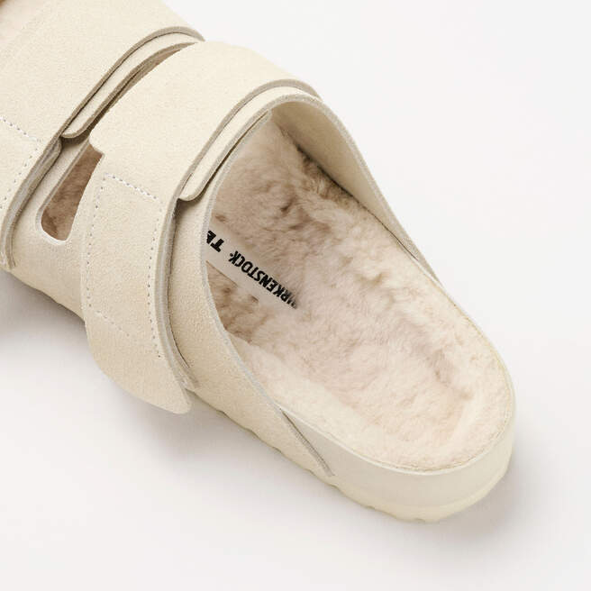 1026290_sole-1.jpg