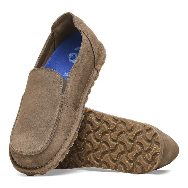 1027494_sole.jpg