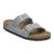 Basalt Gray