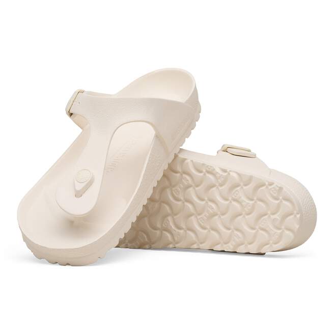 1031278_sole.jpg